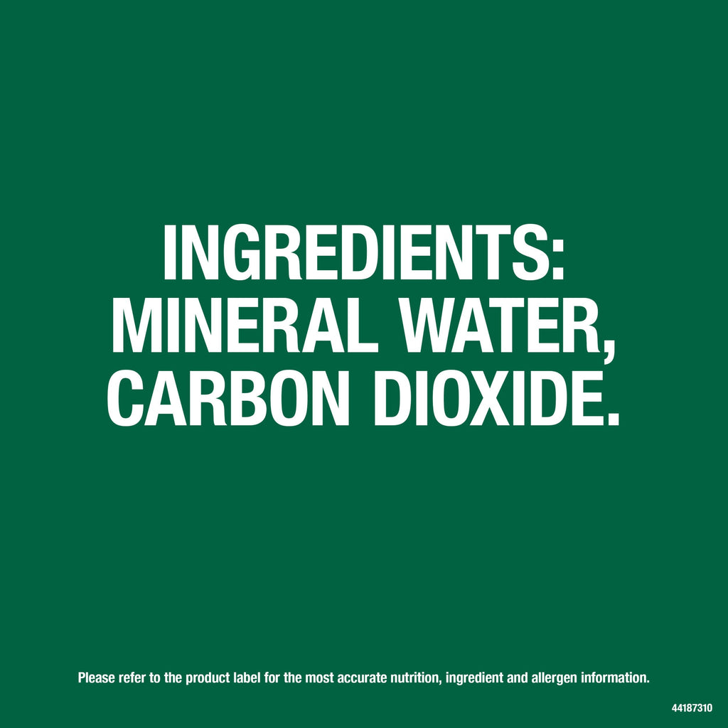 Carbonated Mineral Water Plastic Bottles 16.9 Fl Oz Pack of 24 A1193