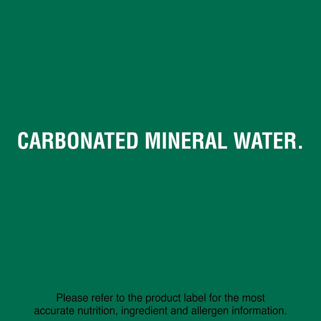 Carbonated Mineral Water Plastic Bottles 16.9 Fl Oz Pack of 24 A1193