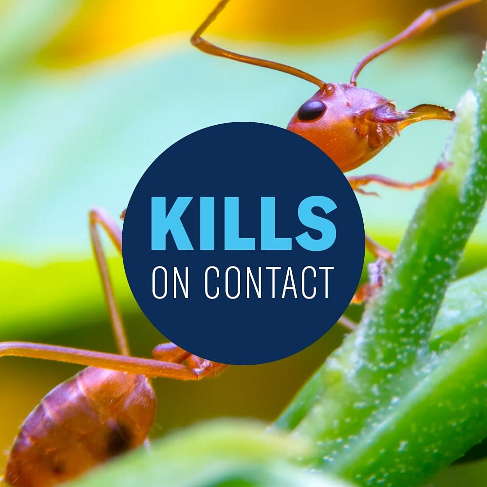 24 Hour Lawn Insect & Fire Ant Killer Ready-to-Spray 32FOZ I25142