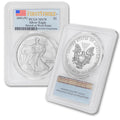 1 oz American Silver Eagle Coin MS-70 U23062