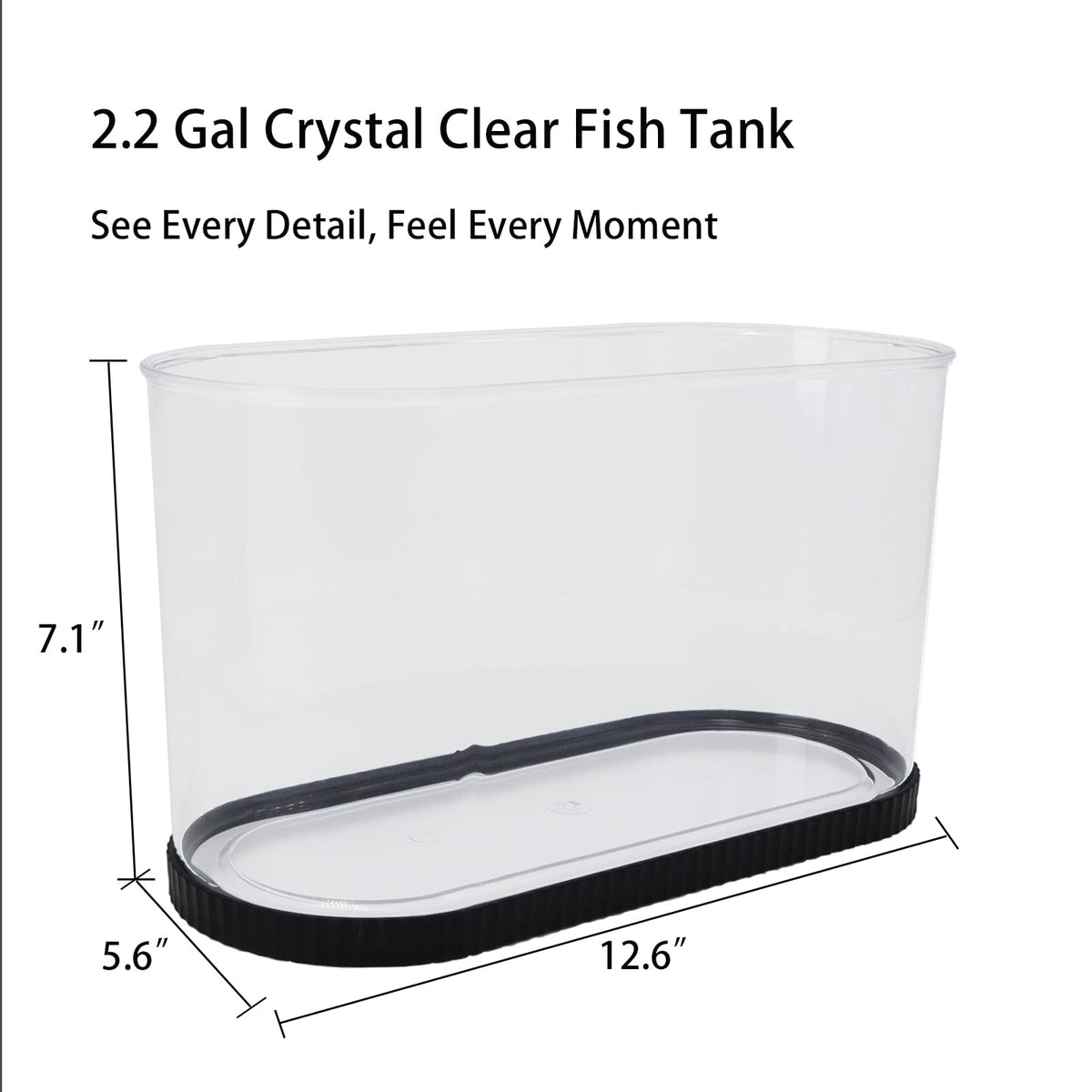 2 Gallon Fish Tank Kit with Filter and Light K70897