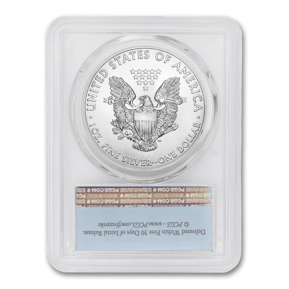 1 oz American Silver Eagle Coin MS-70 U23062