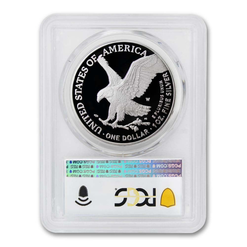 1 oz American Silver Eagle Coin D345