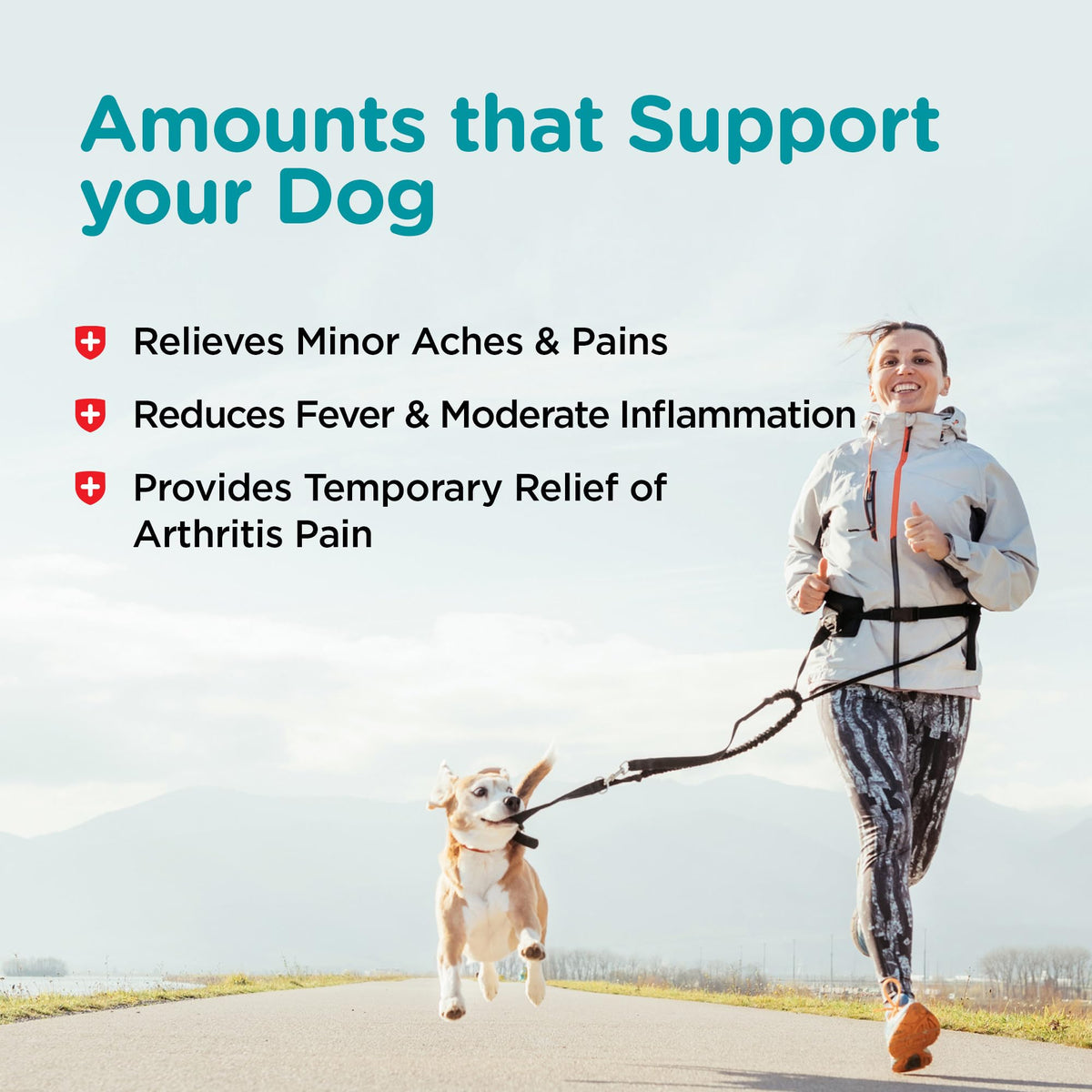 Dog Aspirin 120mg 100 Count A300