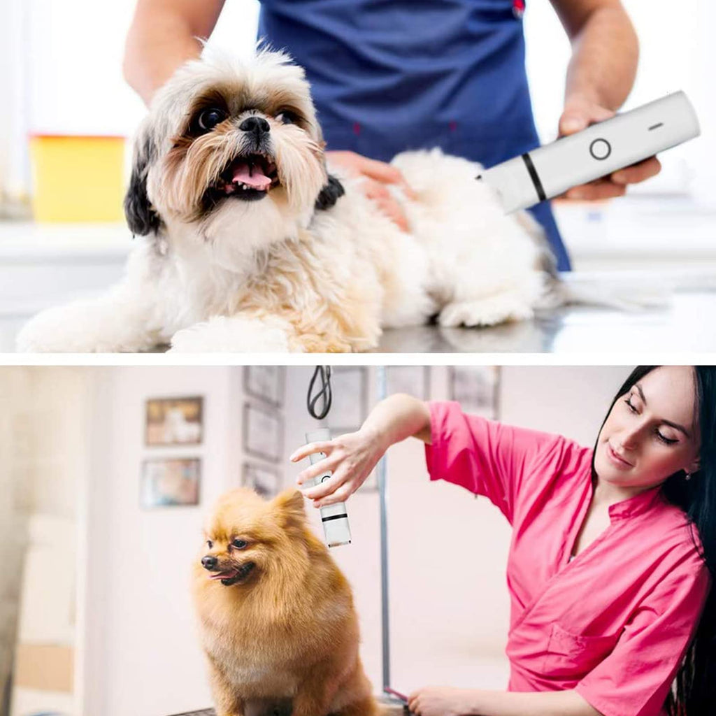 Electric Dog Clippers and Nail Grinder Grooming Kit R35715