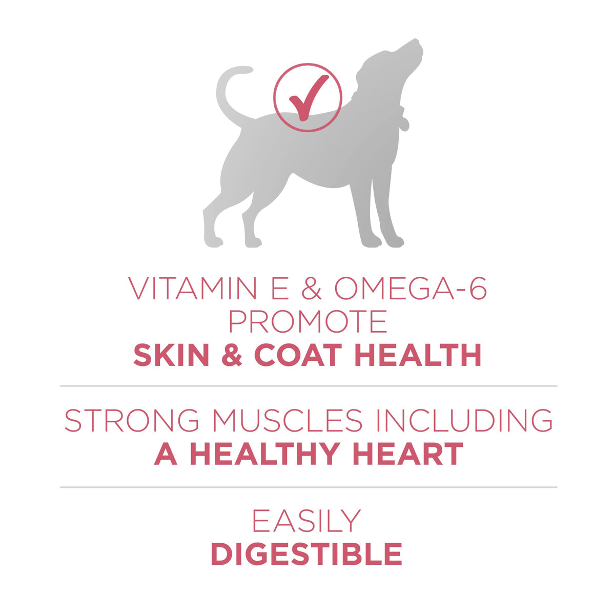 Sensitive Stomach Dry Dog Food 31.1 lb Bag V29894