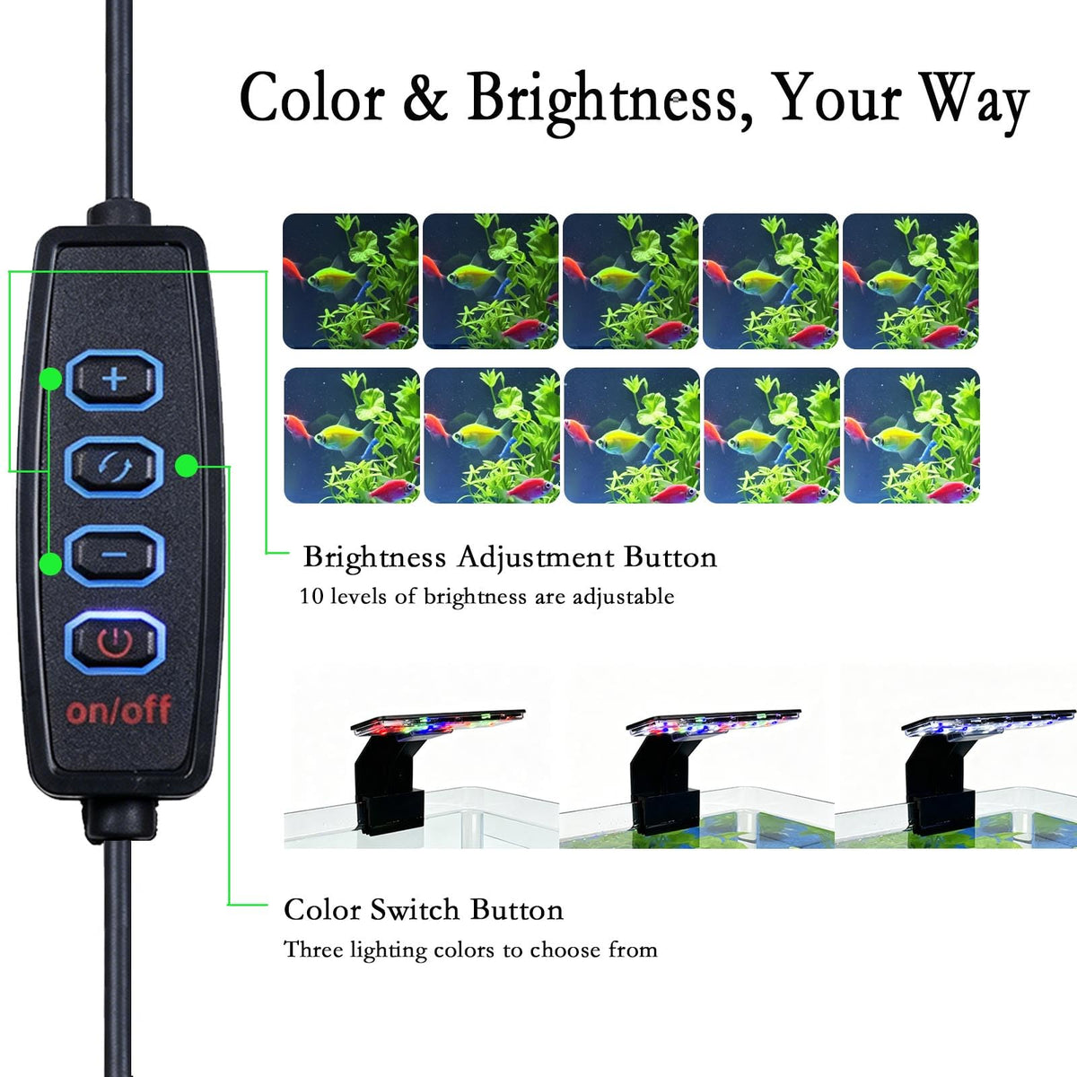2 Gallon Fish Tank Kit with Filter and Light K70897