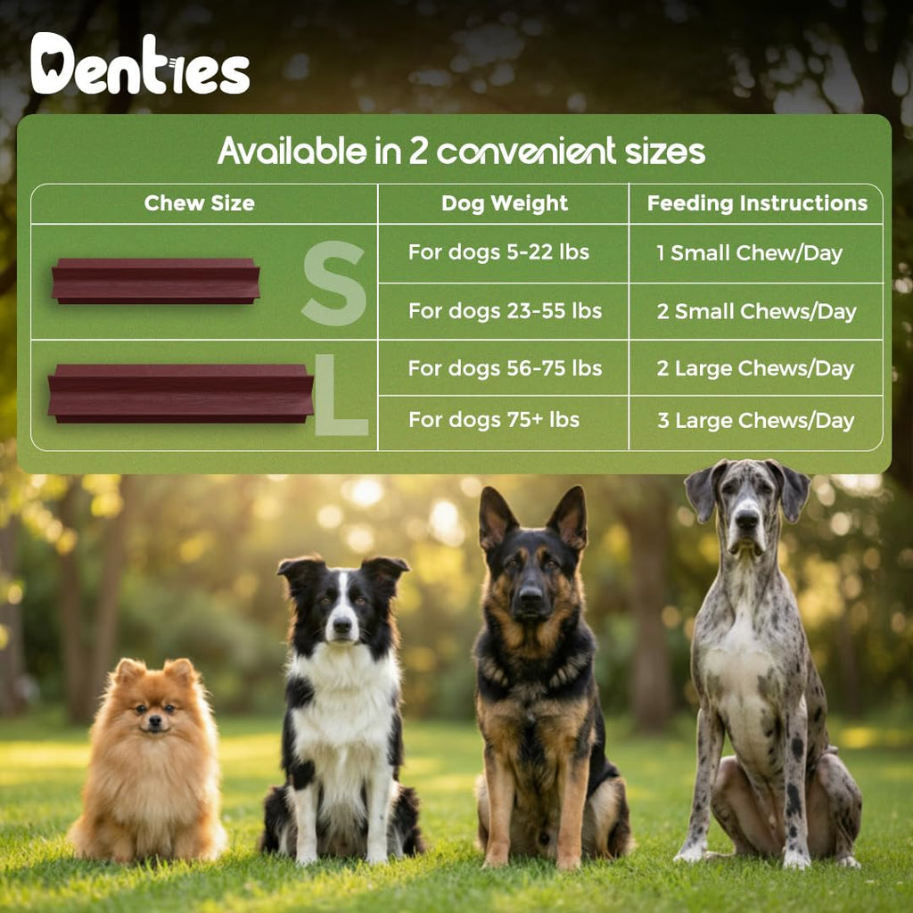 Dental Chews for Small Dogs 16 oz 35 Treats X566
