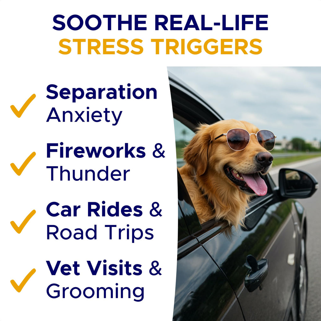 Calming Chews for Dogs 60Ct V6089
