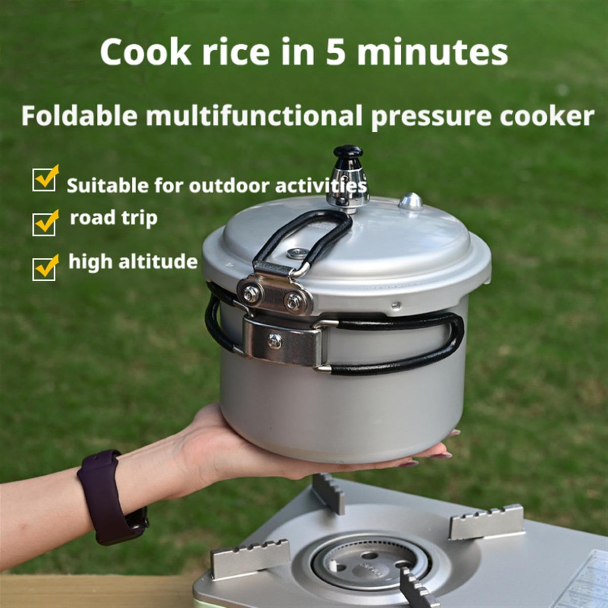 2L Aluminum Alloy Pressure Cooker S2482