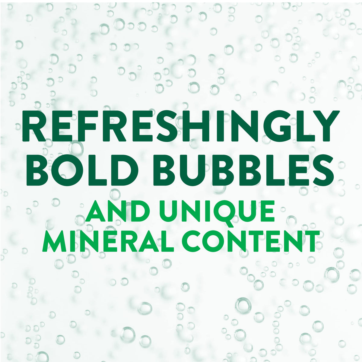 Carbonated Mineral Water Plastic Bottles 16.9 Fl Oz Pack of 24 A1193