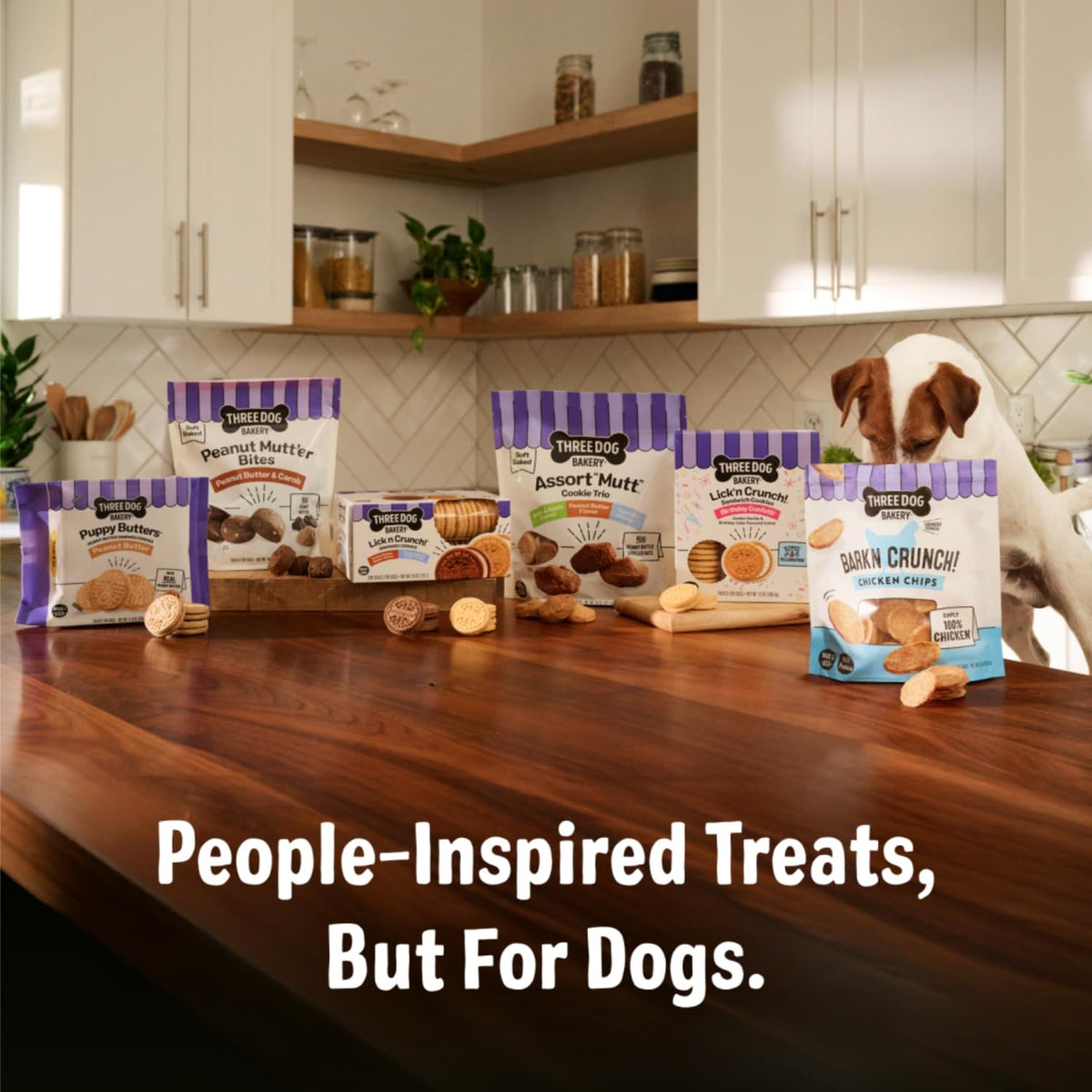 12 oz Dog Cake Bites W14169