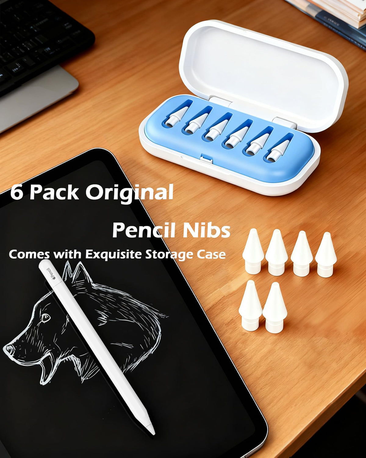 6 Pack Replacement Pencil Tips with Case M90967