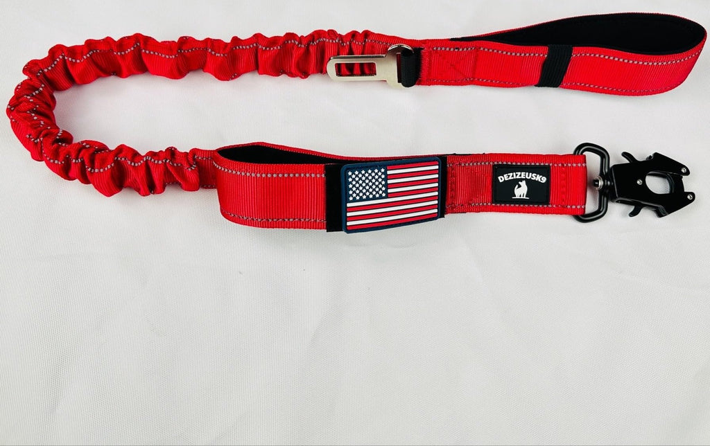 Heavy Duty Shock Absorbing Bungee Dog Leash V8700