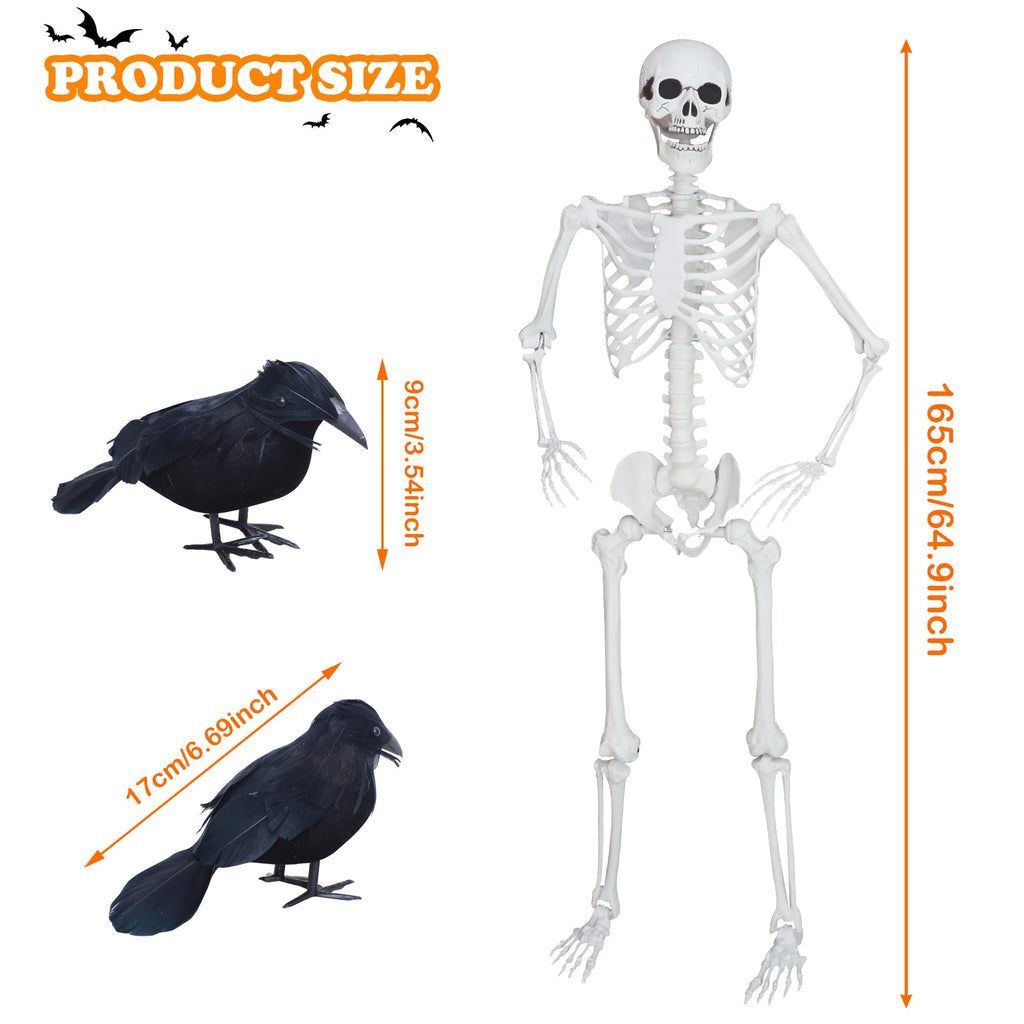 5.4ft/165cm Halloween Skeleton with Crows Movable Joints E7587