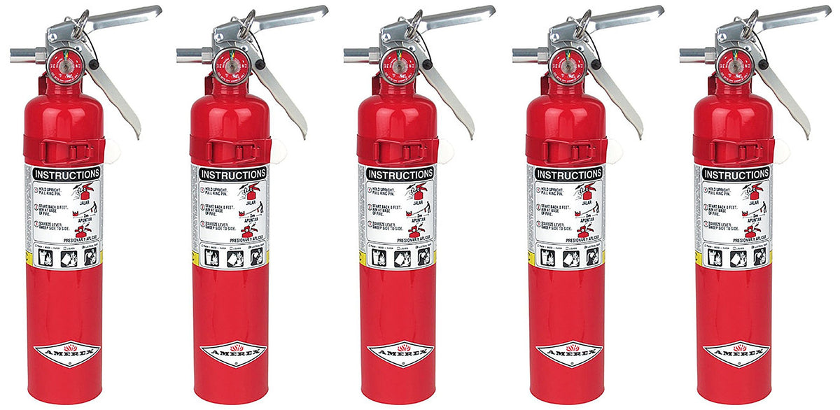 2.5lb ABC Dry Chemical Fire Extinguisher with Wall Bracket Z1338