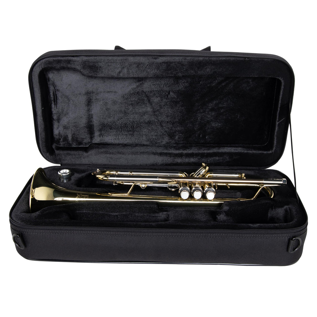 Lightweight Beginner Case for Bb Trumpet C310