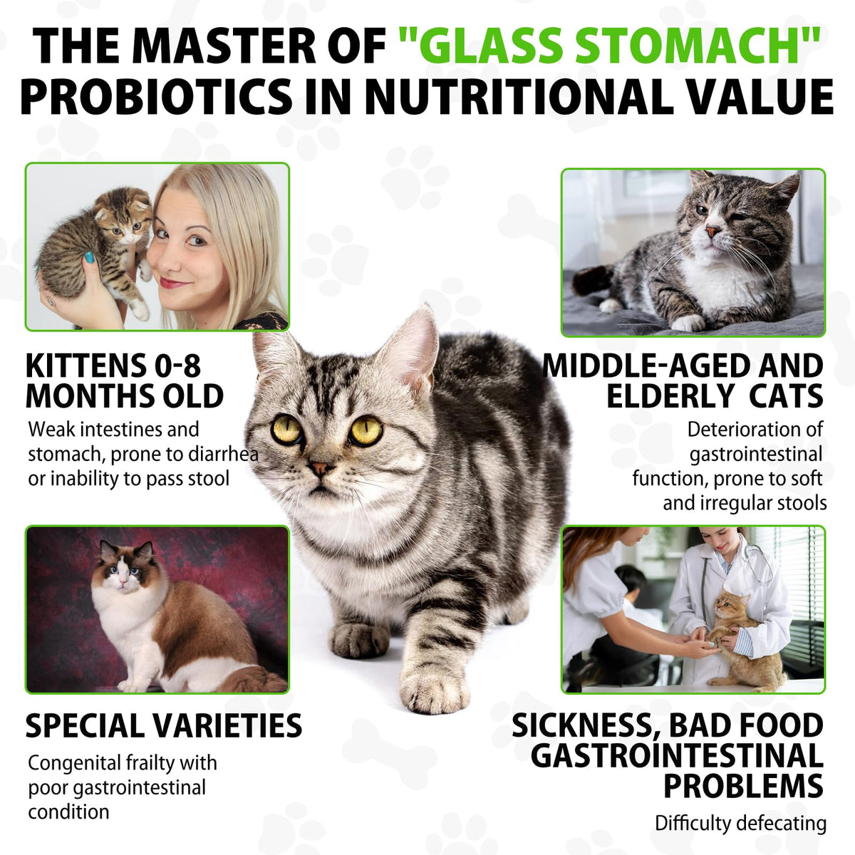 Cat Laxative Q135633