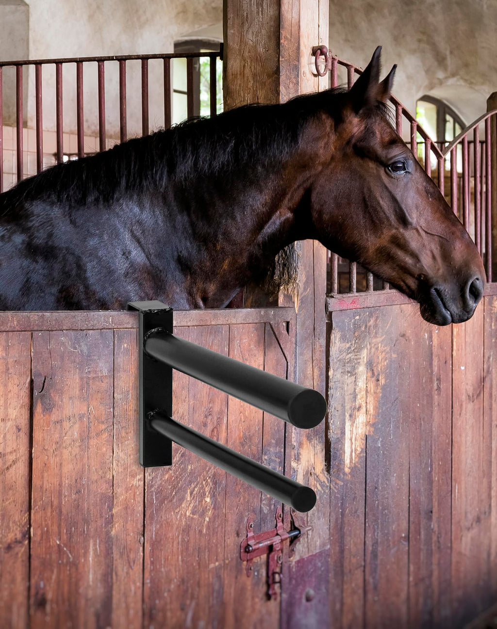 Black PVC Coated Double Saddle Rack V1198