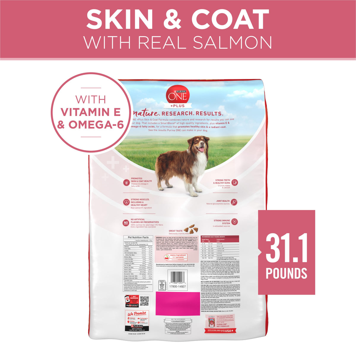 Sensitive Stomach Dry Dog Food 31.1 lb Bag V29894