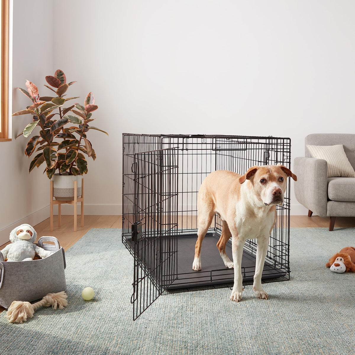 Portable Metal Wire Dog Crate, Double Door with Removable Tray, Black T856